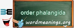 WordMeaning blackboard for order phalangida